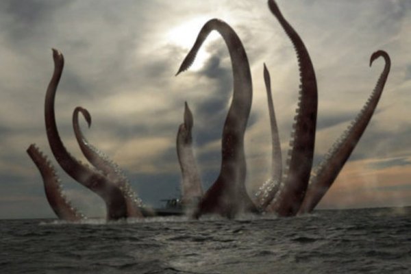 Kraken 6at